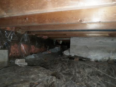 This photo from Orillia home inspector . biz evidence files  highlights the point you can not tell mould type or toxicity by colour. This first photo shows discolouring on the insulation behind the vapour barrier. Testing confirmed the suuspected. Mould in this damp crawlspace is now visible only because it has ben damp enough to grow to a large enough colony to see. Note that is  very dark in colour yet testing revealed it to be from an allergenic but non toxic mold family.